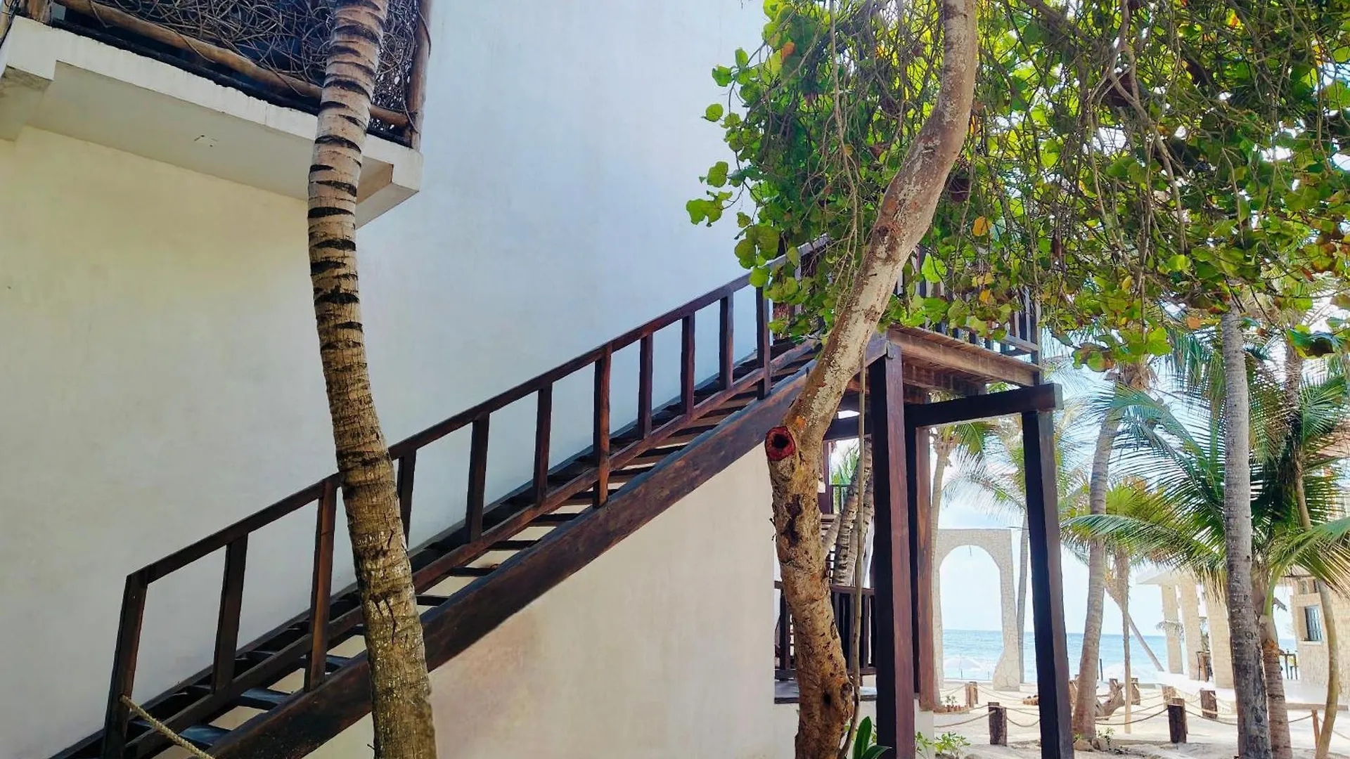 Azucar Hotel Tulum Mexico