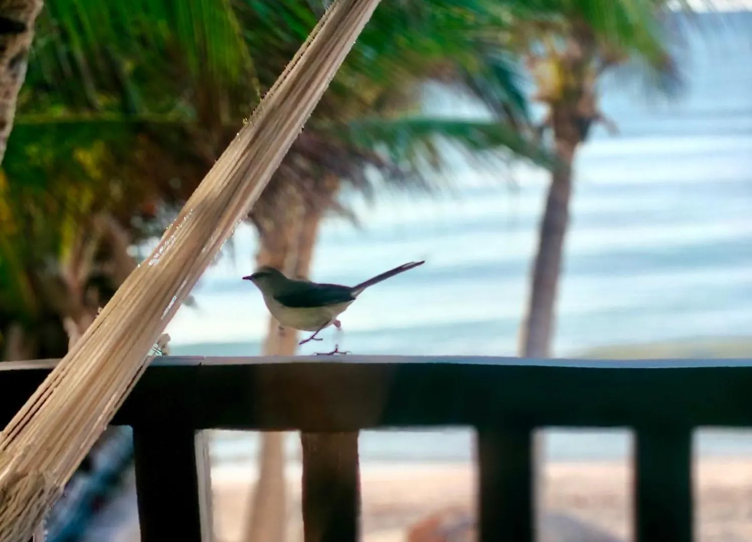Azucar Hotel Tulum